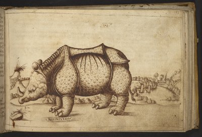 追加。 82955、f.172 サイ、動物の歴史から 作： Italian School