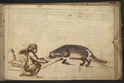 追加。 82955、f.193   天使と生き物。  、ヒストリアアニマルリウムから、 (さまざまな種の動物と神話上の生き物の 245 のペンとインクの図面で構成され、それぞれに説明が付いています。)    1595年 作： Italian School