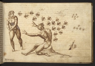 追加。 82955、f.59 ミツバチ（「類人猿」）。  、ヒストリアアニマルリウムから、 (さまざまな種の動物と神話上の生き物の 245 のペンとインクの図面で構成され、それぞれに説明が付いています。)    1595年 作： Italian School