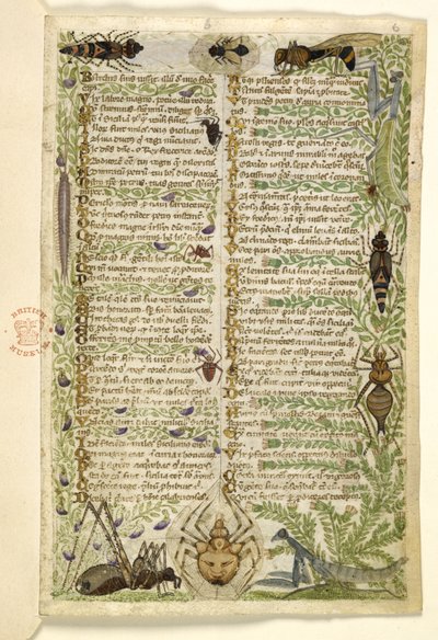 MS 28841 f.006r 7 つの悪徳に関する散文論文と、フリードリヒ 2 世の時代のシチリアの歴史からの出来事に関する詩からの葉、Cocharelli、c.1330-40 を追加 作： Italian School