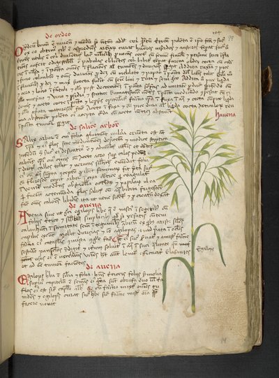 MS 41623 