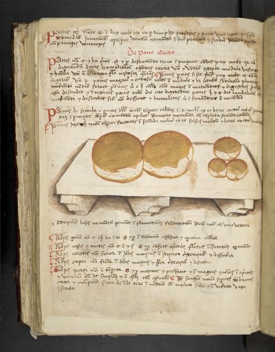 MS 41623 f.124v De Pane、「A herbal」、Belluno から追加 (ベラムにインクとカラー) 作： Italian School