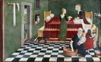 聖母の誕生（プレデラの区画）、ヴェネト、1480年頃 作： Italian School