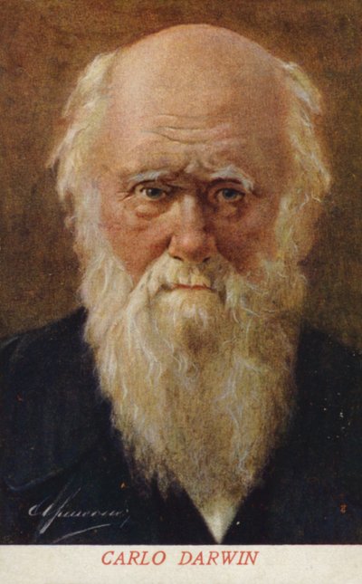 チャールズ・ダーウィン（1809-1882）イギリスの博物学者（カラーリトグラフ） 作： Italian School
