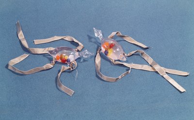 フィレンツェ科学史博物館からの2つの体温計のコピー（ガラスとリボン） 作： Italian School