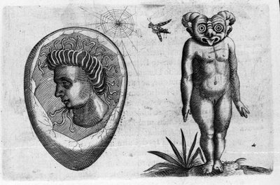 化石人間と怪物という異なるタイプの人間のモンスター。イタリアの科学者Fortunio Liceti(1577-1656)の「De monstrorum natura, causis et differentiis」からの版画。1646 作： Italian School
