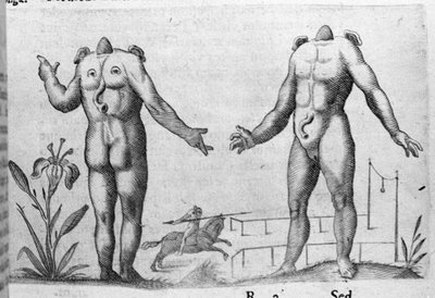 さまざまなタイプの人間の怪物：頭のない人間。イタリアの科学者Fortunio Liceti (1577-1656)の「De monstrorum natura, causis et differentiis」からの版画。1646 作： Italian School