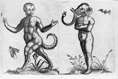 獣の足を持つ人、象の頭を持つ人など、様々なタイプの人間の怪物たち。イタリアの科学者Fortunio Liceti(1577-1656)の「De monstrorum natura, causis et differentiis」からの版画。1646 作： Italian School