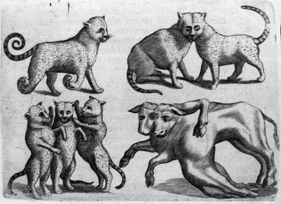 複数の体を持つ猫や牛など、さまざまなタイプのモンスターたち。イタリアの科学者Fortunio Liceti(1577-1656)の「De monstrorum natura, causis et differentiis」からの版画。1646 作： Italian School