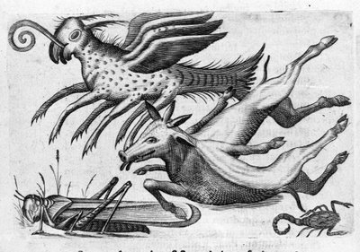 怪獣の種類。イタリアの科学者Fortunio Liceti (1577-1656)の「De monstrorum natura, causis et differentiis」からの版画。1646 作： Italian School