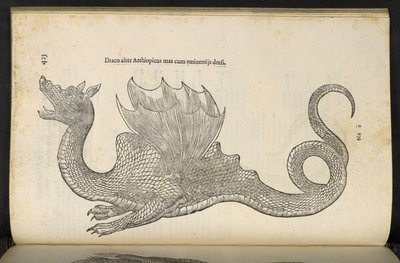エチオピアのドラゴン「蛇とドラゴンの歴史の本 2」、ボローニャ、ウリッセ・アルドロヴァンディ作 作： Italian School