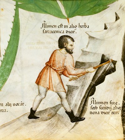 ミョウバンの抽出、1440年頃（カラーリソ） 作： Italian School