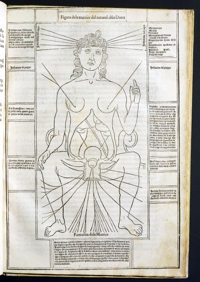 ヨハネス・デ・ケタム（dc1490）c.1507によるFasciculus Medicinaeからの女性の解剖学 作： Italian School