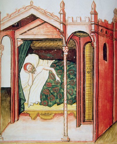 Fol.101r不眠症、Tacuinum Santiatis Codex Vindobonensisのイラスト 作： Italian School