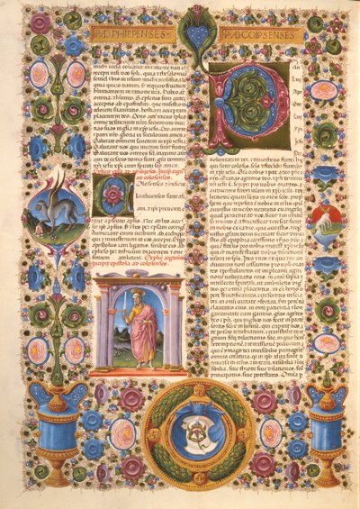 Fol.204v 聖パウロからコロサイ人への手紙、ボルソ デステ聖書より。 Vol 2 (ベラム) 作： Italian School
