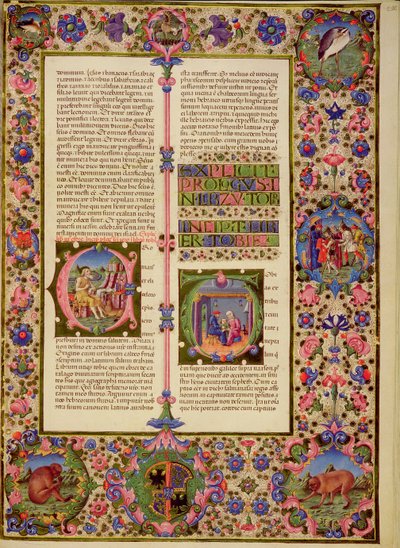 Fol.212r トビーの本、Borso d