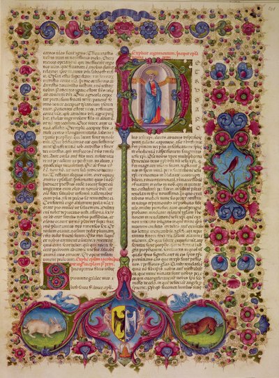 Fol.231r 聖ペテロから使徒たちへの最初の手紙、Borso d