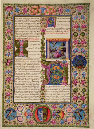 Fol.236r Borso d