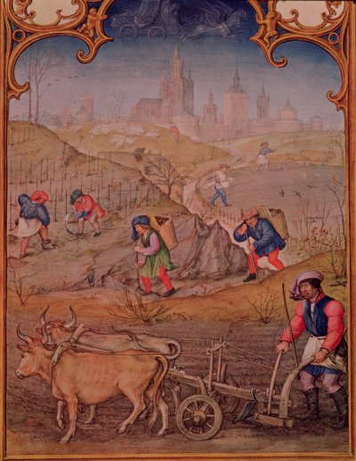 3月のFol.3v月：ブレビアラム・グリマーニからのフィールドでの作業 作： Italian School