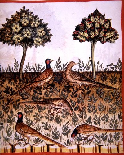 Fol.68v 「Tacuinum Santiatis Codex Vindobonensis」からのキジの挿絵（ベラム製） 作： Italian School