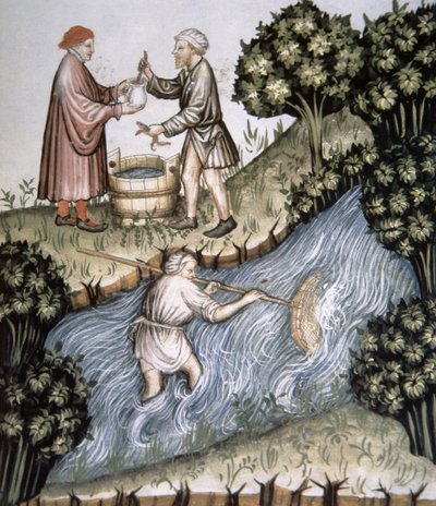 Fol.84r釣り、Tacuinum Santiatis Codex Vindobonensisのイラスト 作： Italian School