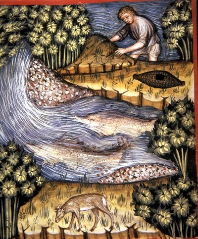 Fol.84v 琥珀色、「Tacuinum Santiatis Codex Vindobonensis」の挿絵（ベラム製） 作： Italian School