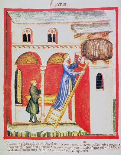 Fol.85v酢、Tacuinum Santiatis Codex Vindobonensisのイラスト 作： Italian School
