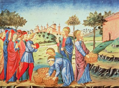 Fol.90v キリストと五つのパンと二匹の魚の奇跡 (ベラム) 作： Italian School