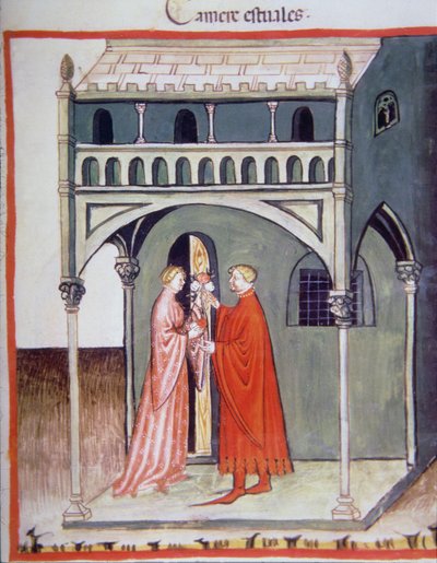 Fol.97r夏の部屋、Tacuinum Santiatis Codex Vindobonensisのイラスト 作： Italian School