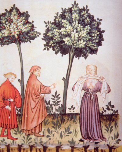 Fol.98vコレラ、Tacuinum Santiatis Codex Vindobonensisのイラスト 作： Italian School