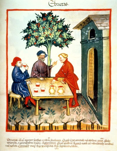 Fol.99r飲酒、Tacuinum Santiatis Codex Vindobonensisのイラスト 作： Italian School