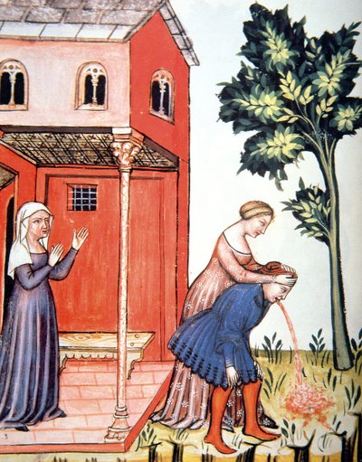 Fol.99v投げる、Tacuinum Santiatis Codex Vindobonensisのイラスト 作： Italian School