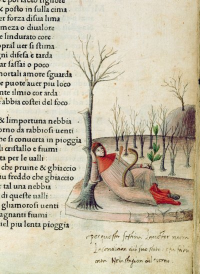 フォル。 ペトラルカ作「カンゾニエール エ トリオンフィ」の 52r、1470 年頃 作： Italian School