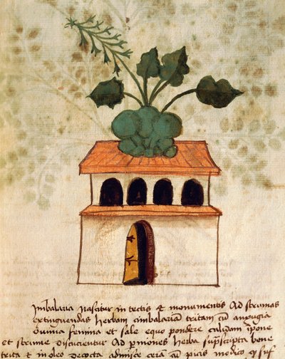 空中庭園 作： Italian School