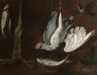 ウサギ、ヘラサギ、魚、1600年代半ば 作： Italian School