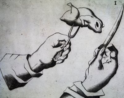 鳥の切り方」イラスト：Li tre trattati di messer Mattia Giegher bavaro di Mosburc, Trinciante dell