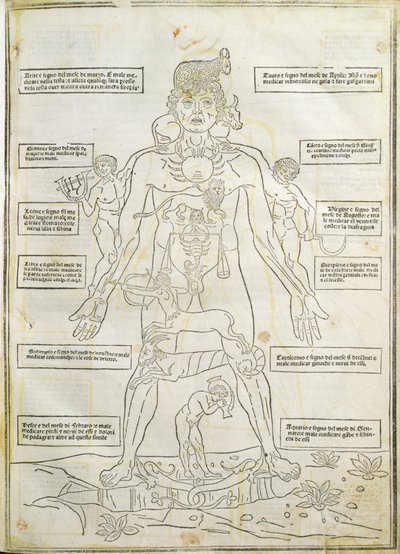 「Fassiculus Medicinae」ベニスのイラスト 作： Italian School