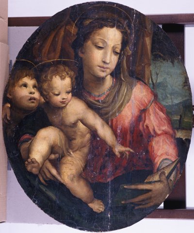 洗礼者ヨハネとマドンナと子供、1546-55（松の木に油彩） 作： Italian School