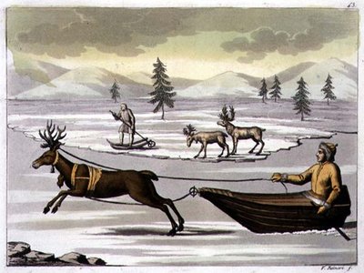 トナカイのオスとメス、トナカイに引かれたソリに乗ったラップランダー 「The History of the Nations」より43枚目（アクアチント） 作： Italian School