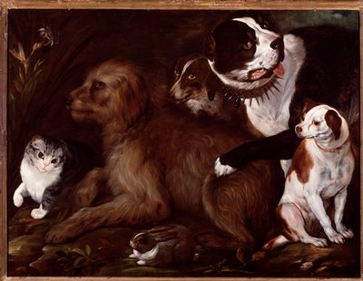 メディチ家の犬、イタリアの学校の猫とウサギ 作： Italian School