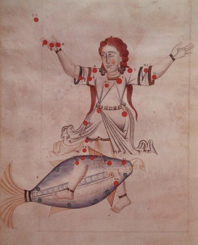 Ms.1036 アル＝スーフィ（西暦903年～1986年）のラテン語訳「Liber de stellis fixarum」より魚座（ベラム製） 作： Italian School