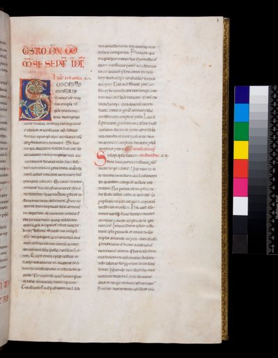 Ms.143グレゴリー大王、レジストラム・エピストララム、f.8r.白い葡萄の葉のインフィルとフィニアルを持つ装飾されたイニシャル[S]. 作： Italian School