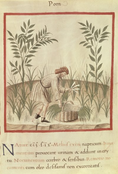 Ms 3054 f.22 