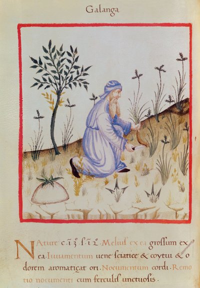 Ms 3054 f.22 