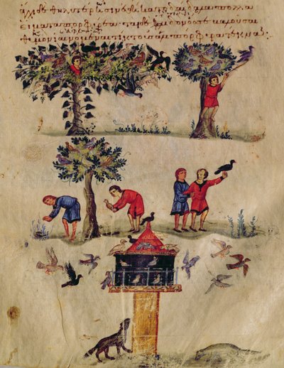 Ms Grec 479 Hunting for Birds、イラストはおそらくIxeutikaのOppian（ベラムのテンペラ）によるもの 作： Italian School