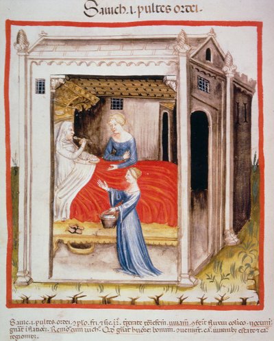 健康的なTacuinumからの新しいテイスティング2644 fol.44v大麦スープ 作： Italian School