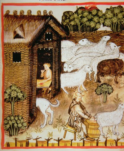 羊の飼育2644 fol.59r健康なTacuinumの新鮮で甘い牛乳 作： Italian School