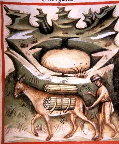 Nova 2644 fol.90r 「Tacuinum Sanitatis」より「雪と氷」（ベラム製） 作： Italian School