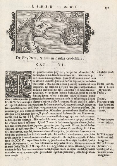 歴史マグヌス・オラウス著北部記者会見の735ページ、ローマ1565年（印刷と彫刻） 作： Italian School
