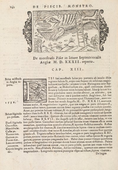 歴史マグヌス・オラウスによる北部の寄稿文の742ページ、ローマ1565年（印刷と彫刻） 作： Italian School